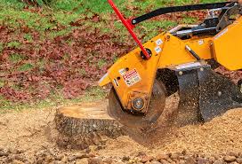 Mulching Services in Doylestown, OH